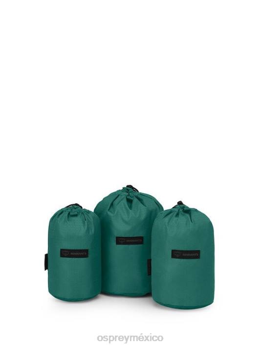 Osprey TPDI699 accesorio selva verde unisexo Juego de sacos de cosas remanentes todos los días y viajes diarios