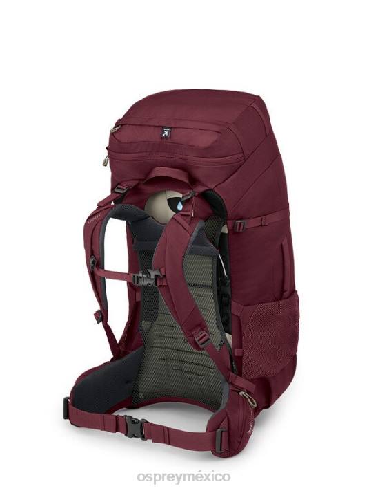 Osprey TPDI501 paquete de equipaje noche selva azul mujer viaje a fairview trek 70 | trekking
