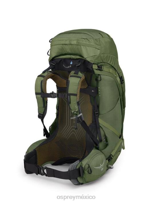 Osprey TPDI14 mochila verde mítico hombres atmos ag 65 mochilero