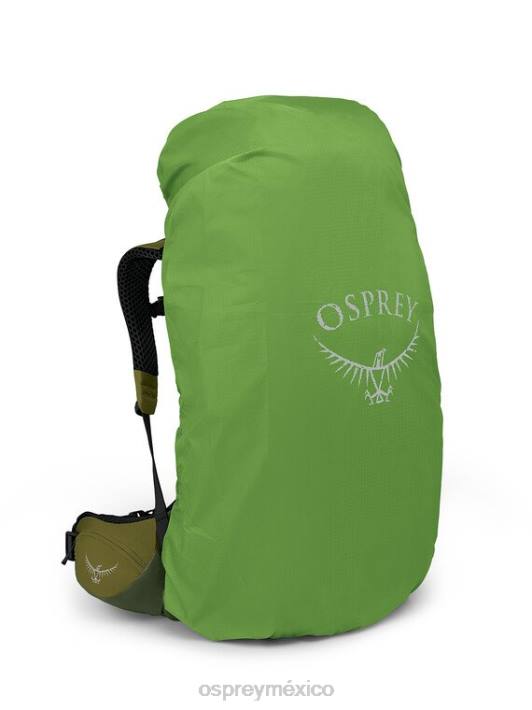 Osprey TPDI2 mochila valle escénico grano de pimienta verde hombres atmos ag lt 65 mochilero