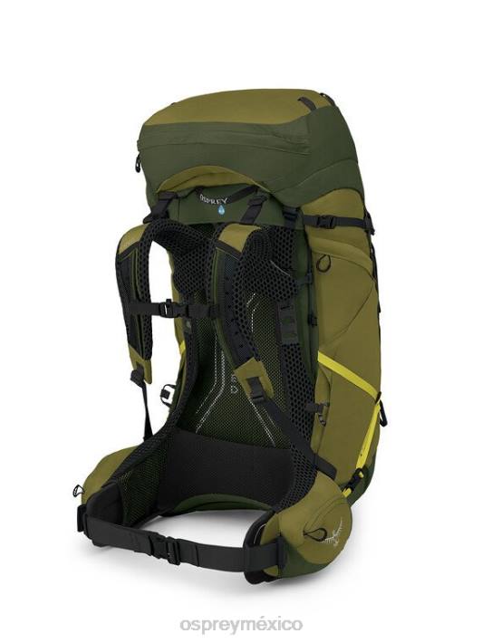 Osprey TPDI2 mochila valle escénico grano de pimienta verde hombres atmos ag lt 65 mochilero