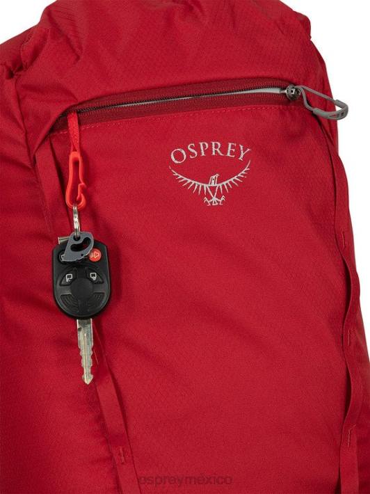 Osprey TPDI377 mochila arándano del lado positivo unisexo cincha daylite todos los días