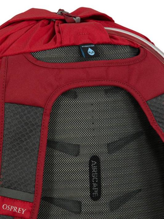 Osprey TPDI377 mochila arándano del lado positivo unisexo cincha daylite todos los días