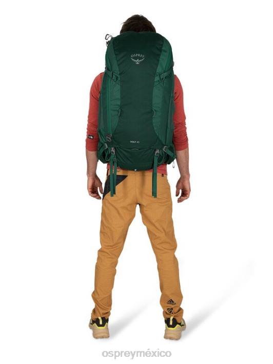 Osprey TPDI38 mochila azul espacial apagado hombres voltios 45 mochilero