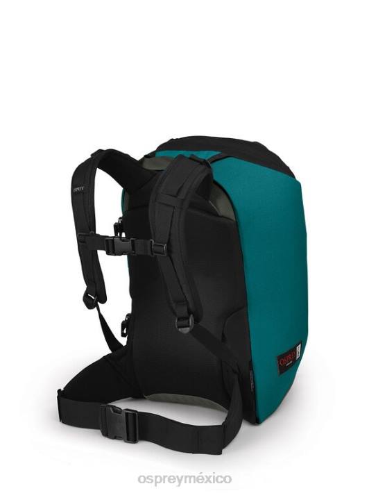 Osprey TPDI423 mochila verde pino oscuro unisexo escarabajo heredado 30 estilo de vida