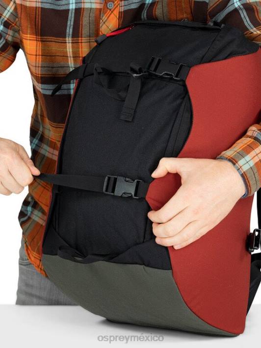 Osprey TPDI423 mochila verde pino oscuro unisexo escarabajo heredado 30 estilo de vida
