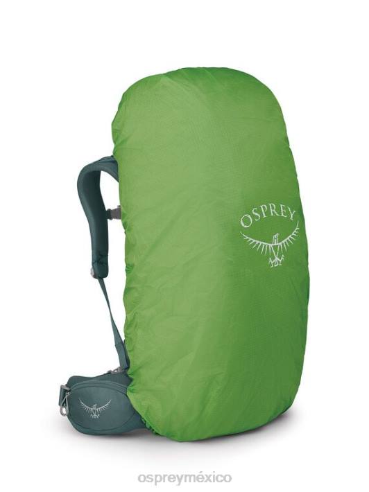 Osprey TPDI46 mochila verde suculento mujer viva 65 mochilero