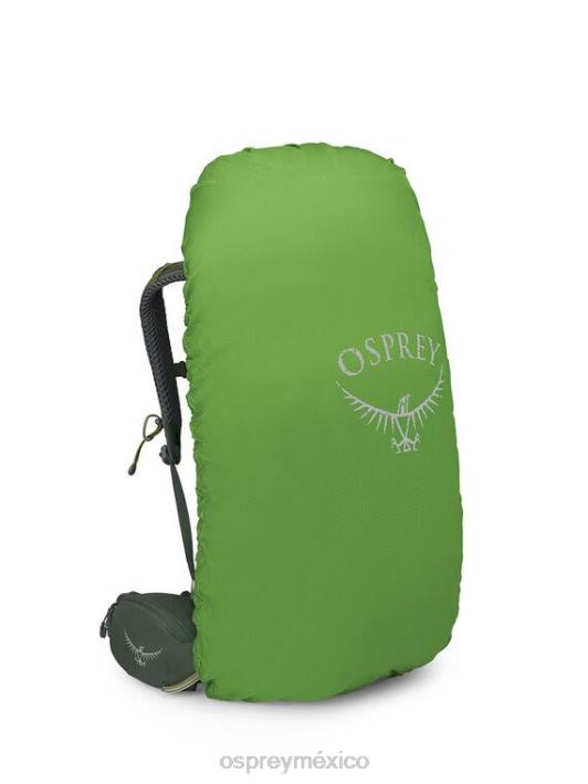 Osprey TPDI54 mochila bonsái verde unisexo cernícalo 48 mochilero