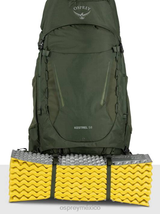 Osprey TPDI56 mochila bonsái verde unisexo cernícalo 58 mochilero