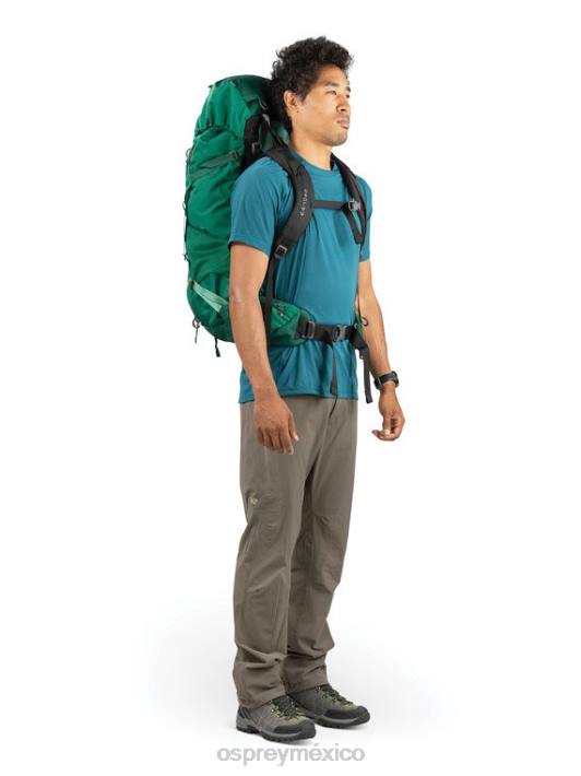 Osprey TPDI96 mochila pato verde hombres torre 50 mochilero