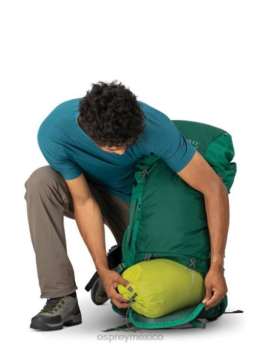 Osprey TPDI99 mochila pato verde hombres torre 65 mochilero
