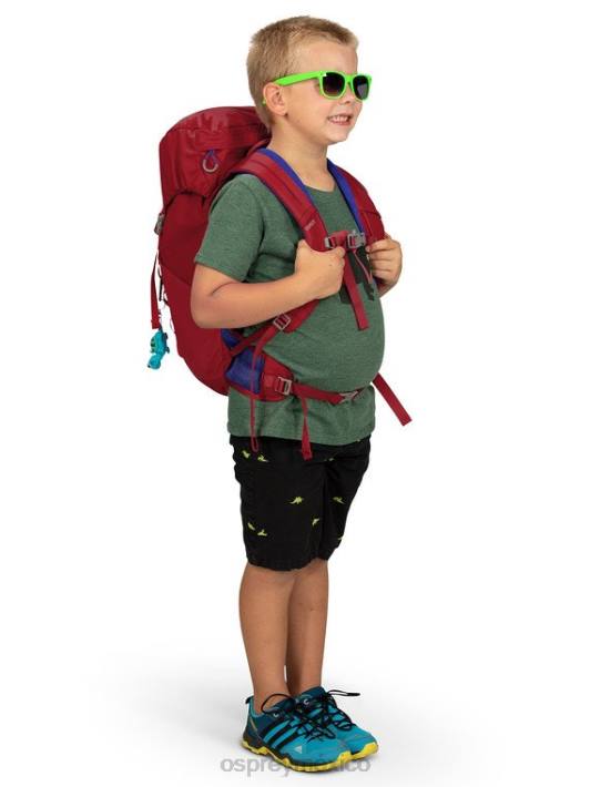 Osprey TPDI357 mochila ola azul niños jet 18 senderismo (8-14 años)