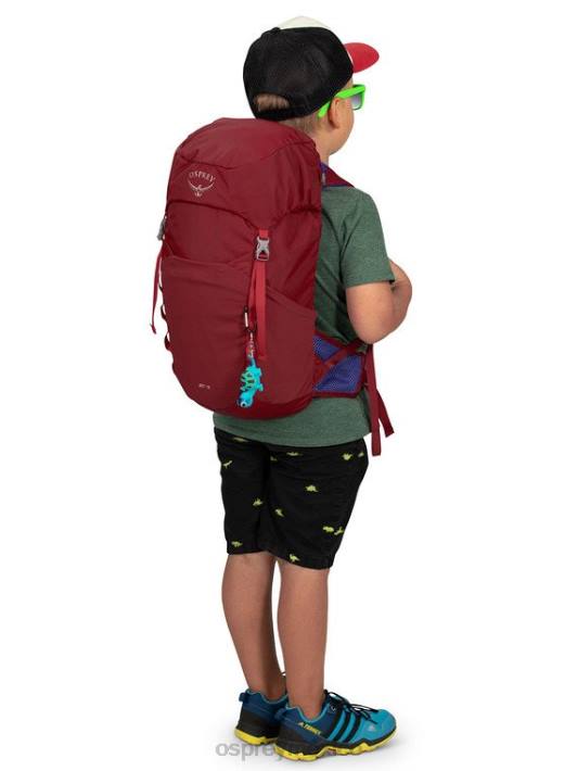 Osprey TPDI357 mochila ola azul niños jet 18 senderismo (8-14 años)
