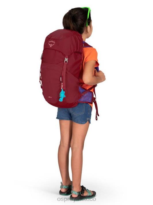 Osprey TPDI357 mochila ola azul niños jet 18 senderismo (8-14 años)