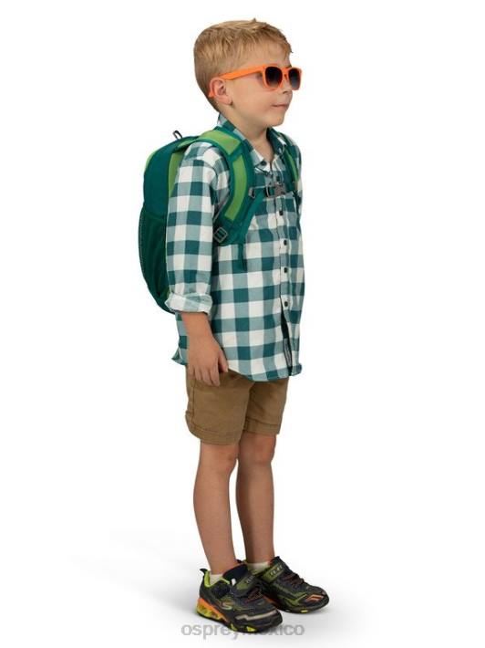 Osprey TPDI362 mochila estampado vida coral verde niños Daylite todos los días (4-12 años)