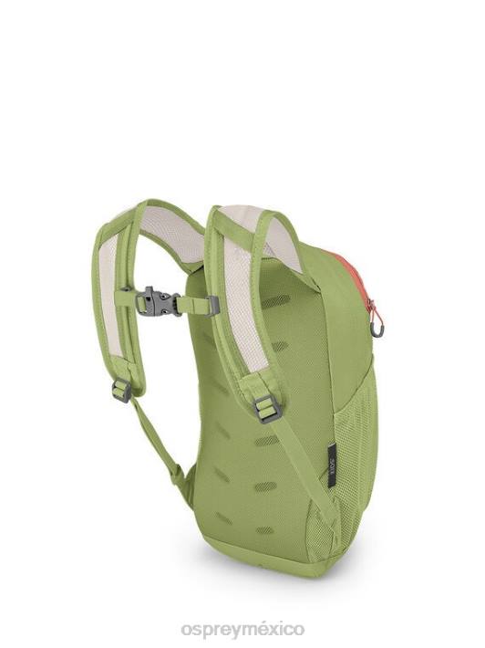 Osprey TPDI362 mochila estampado vida coral verde niños Daylite todos los días (4-12 años)