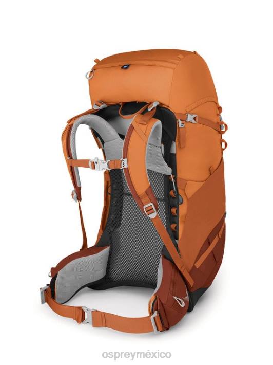 Osprey TPDI486 mochila atardecer naranja niños ace 50 mochilero (8-14 años)