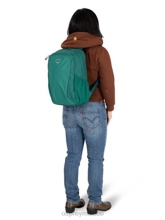 Osprey TPDI489 mochila noche selva azul unisexo estilo de vida del paquete de estudiantes remanentes