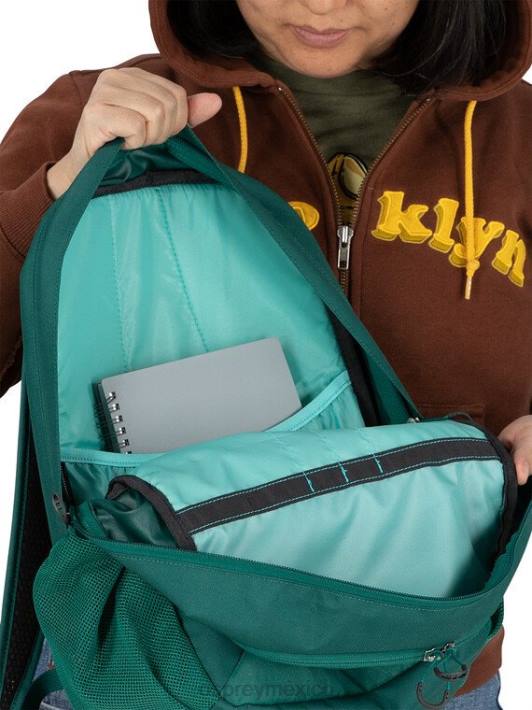 Osprey TPDI491 mochila selva verde unisexo estilo de vida del paquete de estudiantes remanentes
