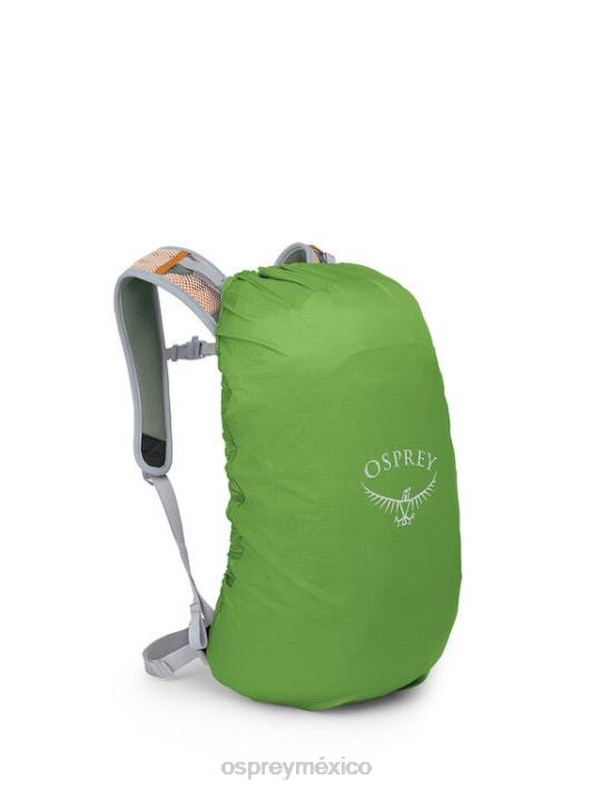 Osprey TPDI194 mochila hoja de pino verde unisexo walklite 18 senderismo
