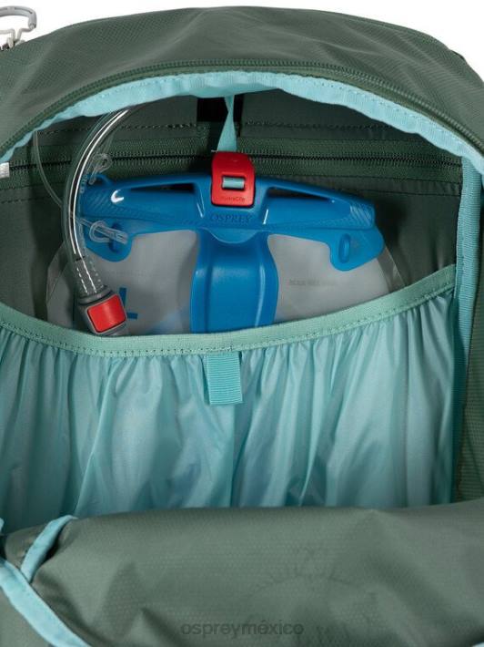 Osprey TPDI203 mochila escapada verde unisexo walklite 26 senderismo