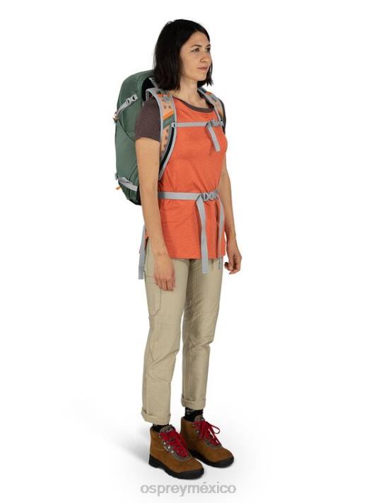Osprey TPDI204 mochila sangría roja unisexo walklite 26 senderismo
