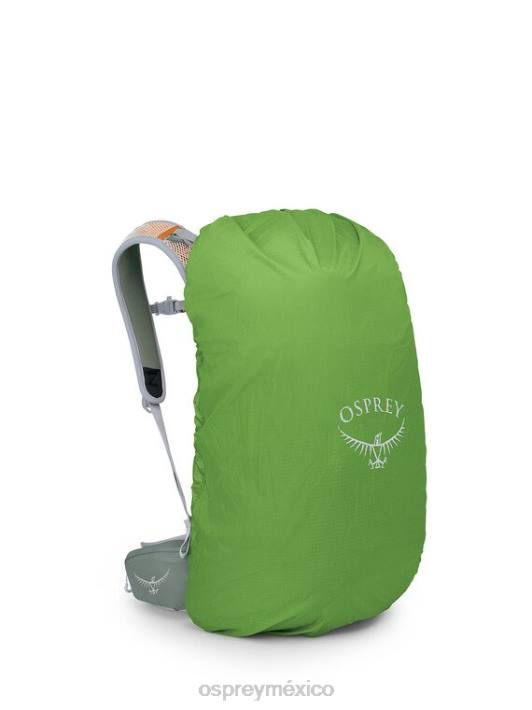Osprey TPDI206 mochila hoja de pino verde unisexo walklite 28 senderismo