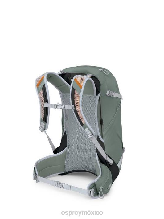 Osprey TPDI206 mochila hoja de pino verde unisexo walklite 28 senderismo