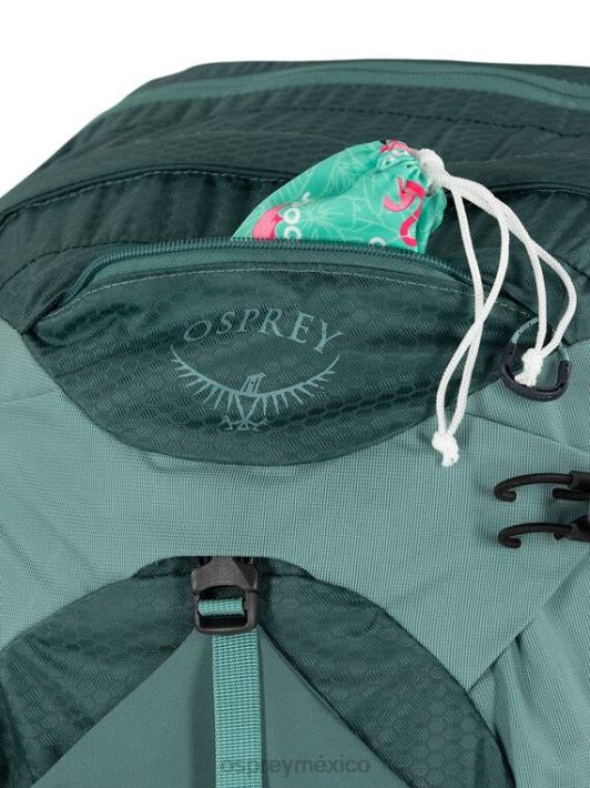 Osprey TPDI218 mochila verde suculento unisexo mira 22 senderismo