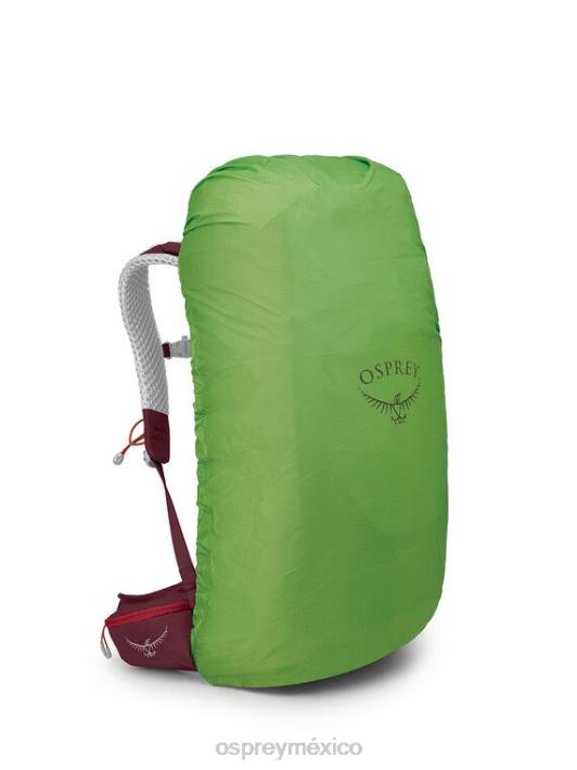 Osprey TPDI276 mochila flor de pascua roja unisexo Stratos 36 mochila ligera | caminata de un día
