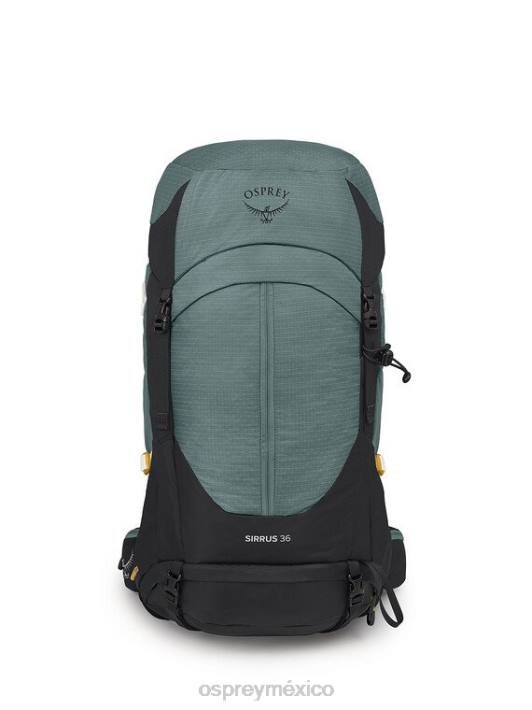Osprey TPDI295 mochila verde suculento mujer sirrus 36 mochilero ligero | caminata de un día