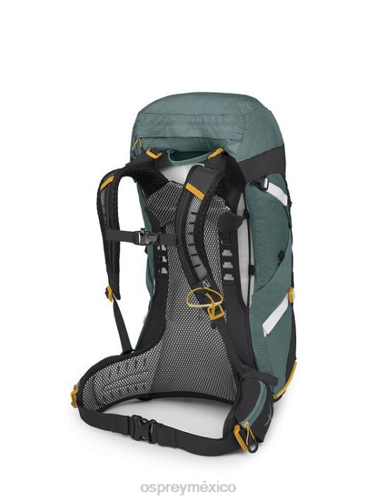 Osprey TPDI295 mochila verde suculento mujer sirrus 36 mochilero ligero | caminata de un día