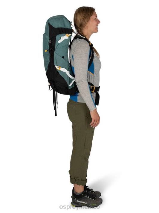 Osprey TPDI295 mochila verde suculento mujer sirrus 36 mochilero ligero | caminata de un día