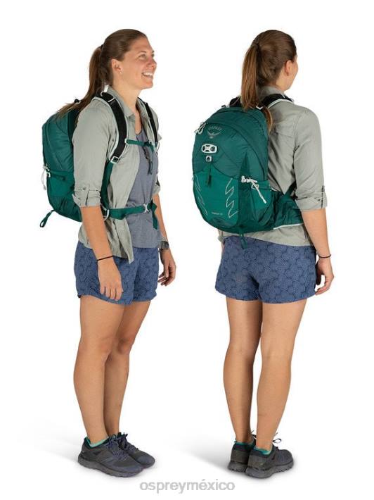 Osprey TPDI335 mochila gris aluminio mujer tempestad caminata de 20 días