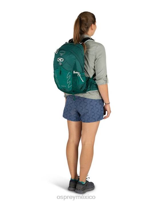 Osprey TPDI336 mochila verde jaspe mujer tempestad caminata de 20 días