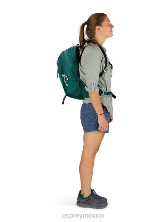 Osprey TPDI336 mochila verde jaspe mujer tempestad caminata de 20 días